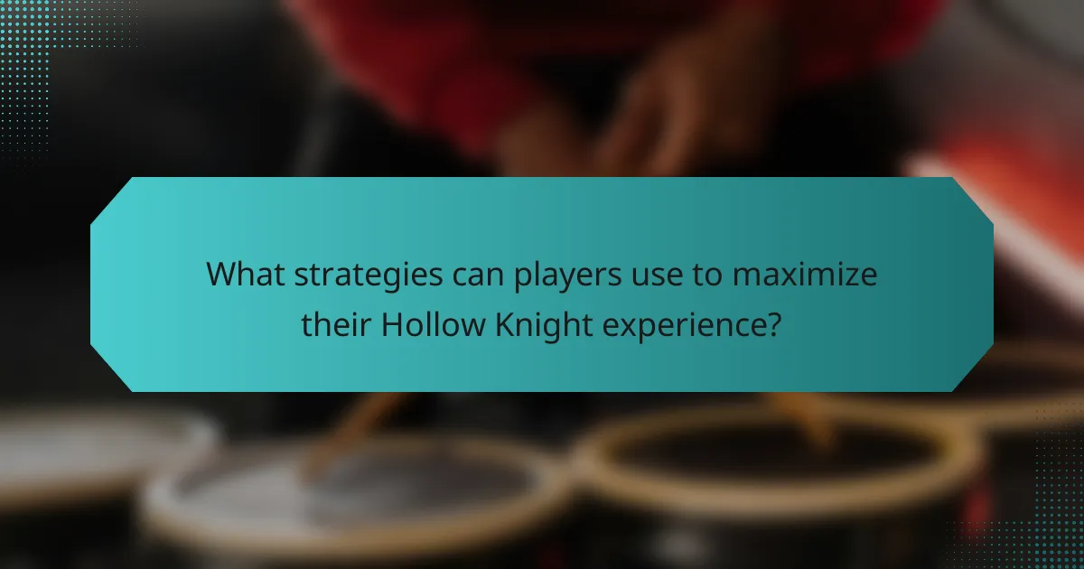 What strategies can players use to maximize their Hollow Knight experience?